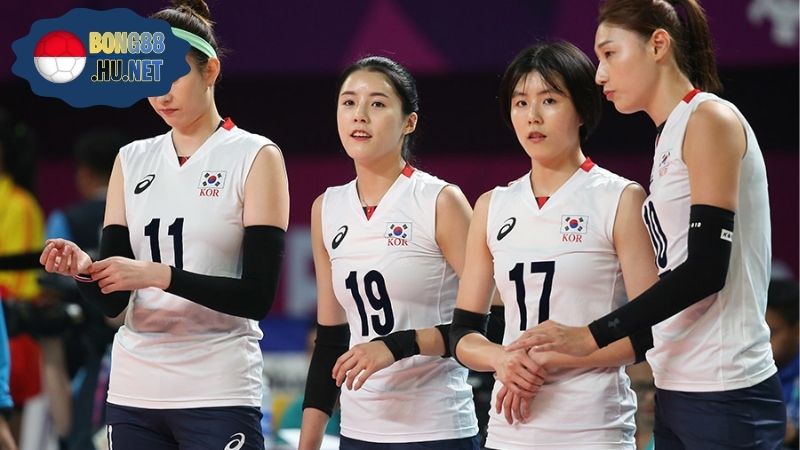 Đội Tuyển Bóng Chuyền Hàn Quốc - Những Điều Cần Phải Biết 1 Đội Tuyển Bóng Chuyền Hàn Quốc - Những Điều Cần Phải Biết