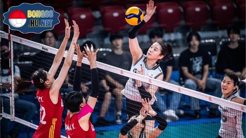 Lịch Sử Đội Tuyển Bóng Chuyền Việt Nam Và Thành Tích Nổi Bật 4 Lịch Sử Đội Tuyển Bóng Chuyền Việt Nam Và Thành Tích Nổi Bật